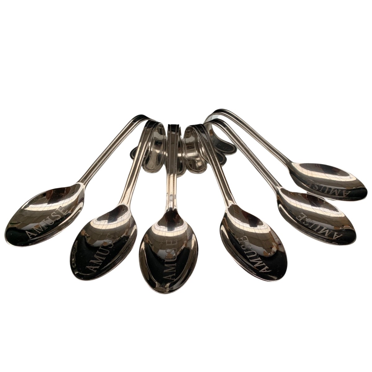 Amuse lepel verzilverd gegraveerd set/6 in box